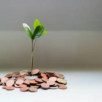 Économies et croissance avec le calorifugeage