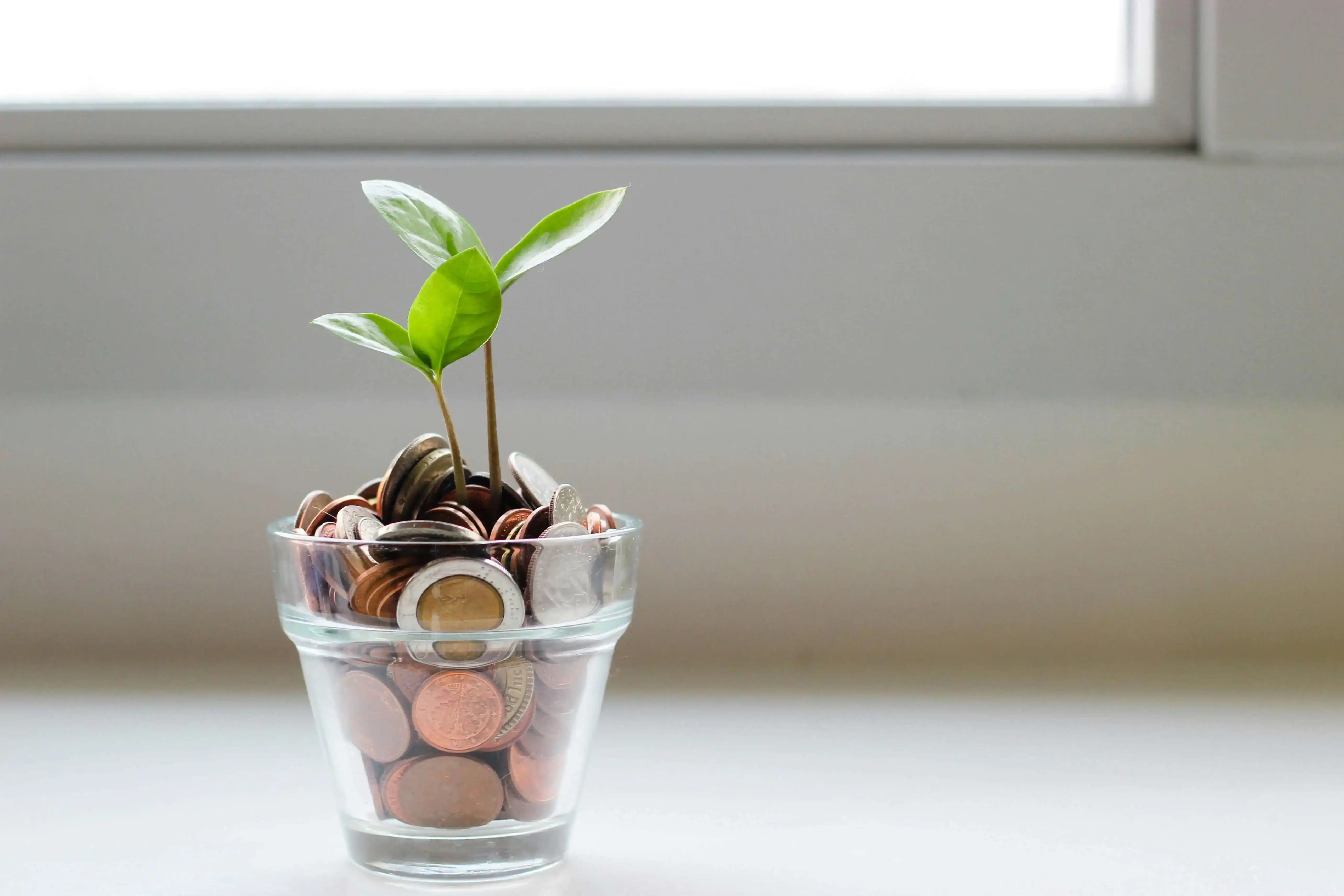 Image illustrant les économies du calorifugeage